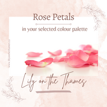 Load image into Gallery viewer, Rose Petals Lily on the Thames - DIY Wedding Flowers 25 stems of standard roses in your selected colour scheme. Available as an add on to a DIY Wedding Flower Package Simple and easy to create fresh rose petals with, and create a whimsical look for your a
