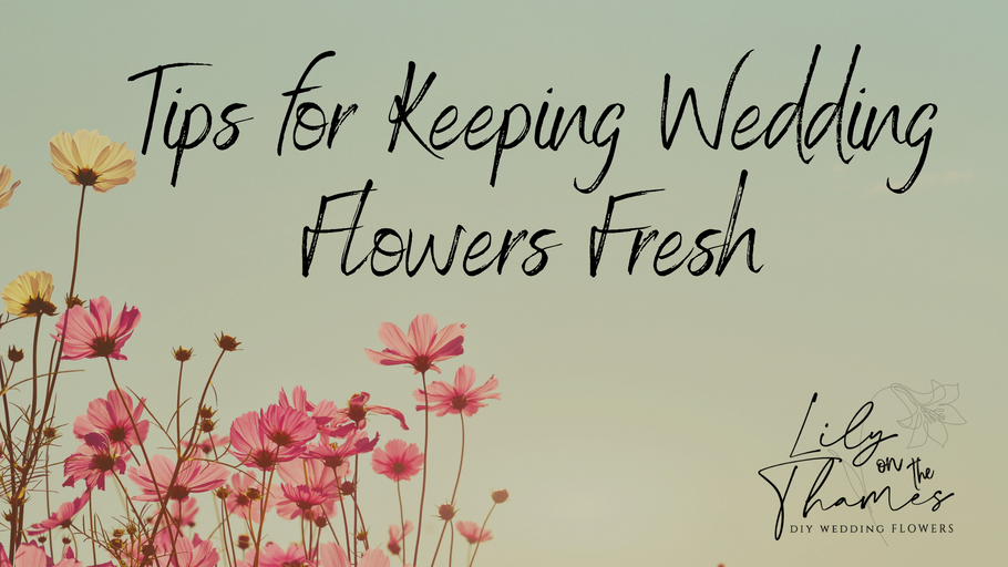 Tips for Keeping Wedding Flowers Fresh and Vibrant Throughout Your Special Day