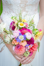Load image into Gallery viewer, Wildflower - Lily on the Thames - DIY Wedding Flowers - Have your guests think you spent the morning in a meadow picking your cheery, airy flowers! It should be noted, the flowers will not be picked in a meadow, they will be commercial florist grade bloom

